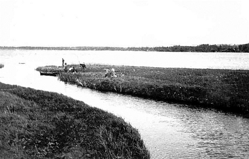 File:Õisu järv ja jõgi 1960.jpg